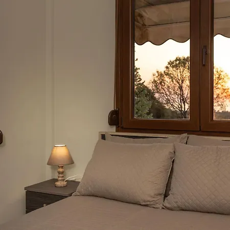 فيلة Bellissimo *