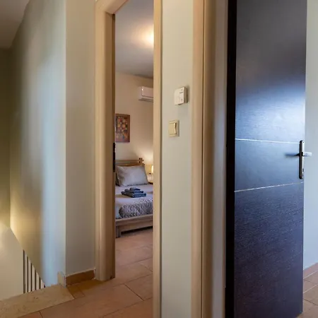 Bellissimo فيلة *